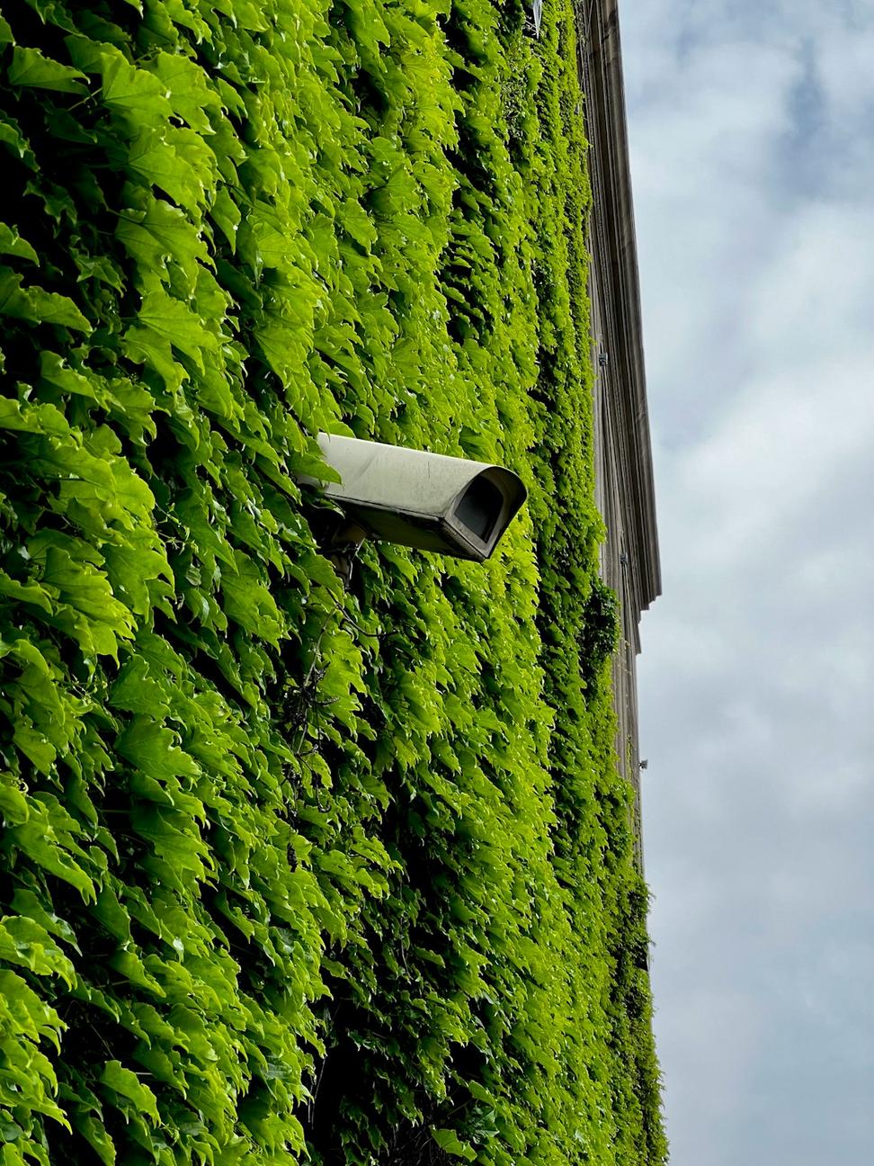 Sustainable Building Solutions