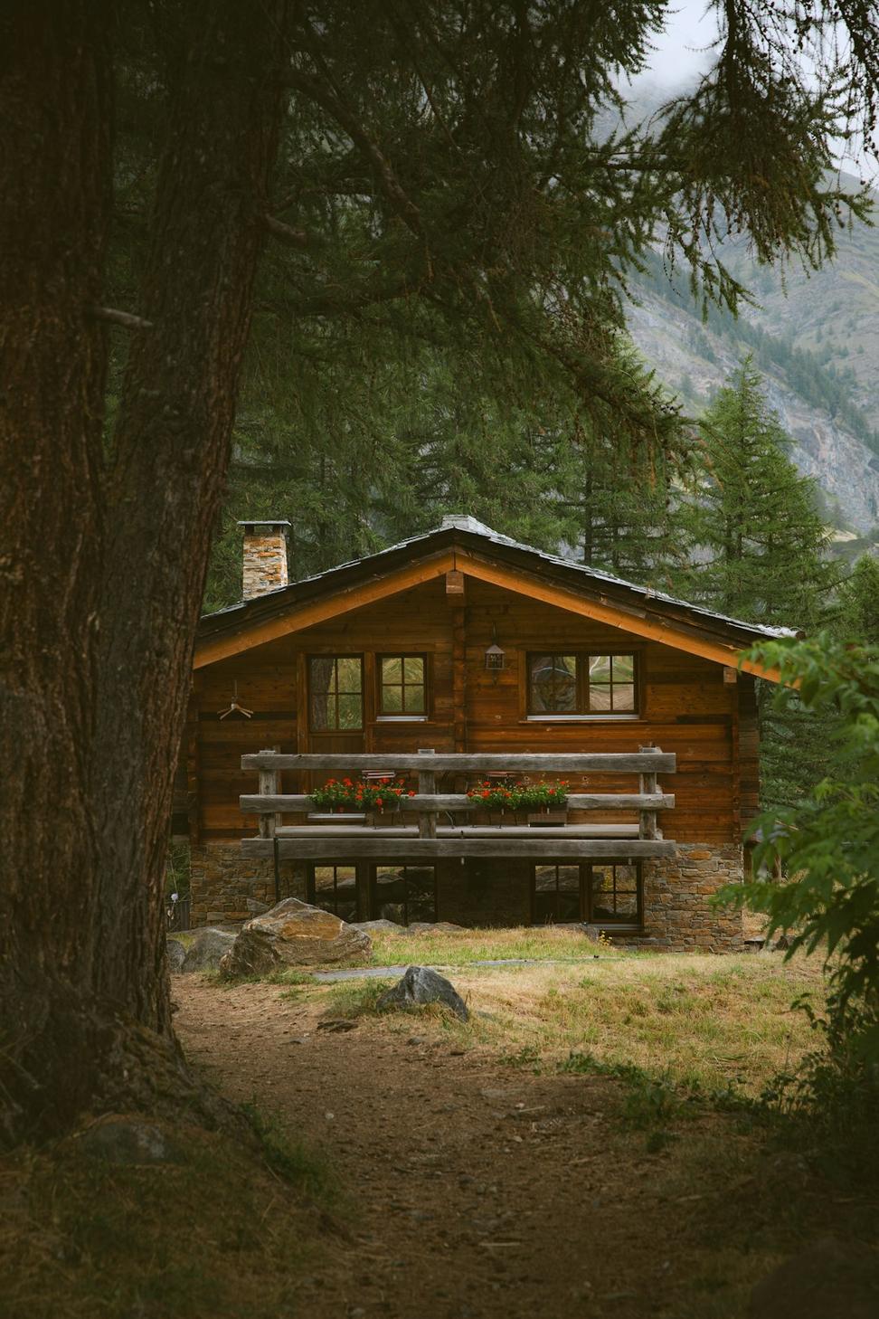 Eco-Modern Cottage nature view