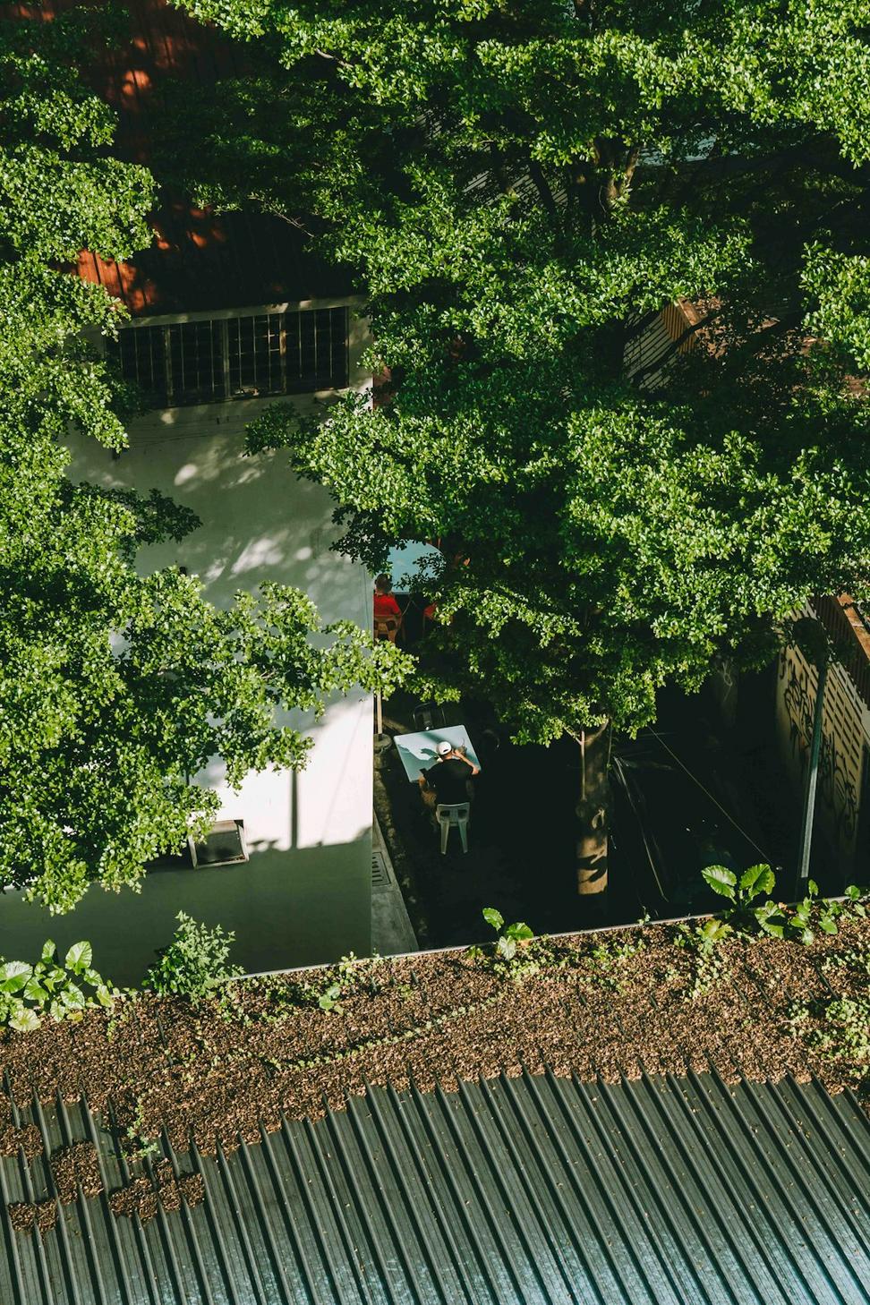 Urban rooftop garden space